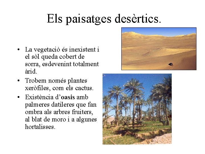 Els paisatges desèrtics. • La vegetació és inexistent i el sòl queda cobert de