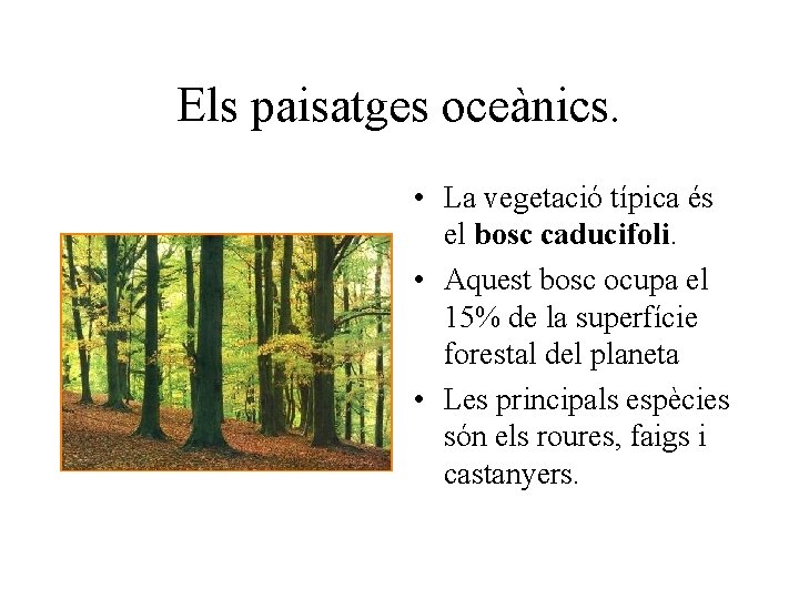 Els paisatges oceànics. • La vegetació típica és el bosc caducifoli. • Aquest bosc