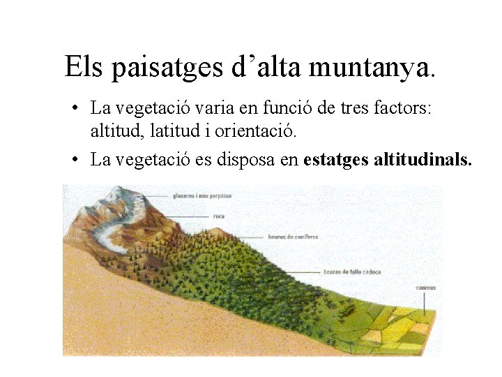 Els paisatges d’alta muntanya. • La vegetació varia en funció de tres factors: altitud,