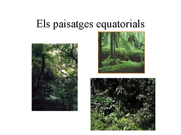 Els paisatges equatorials 