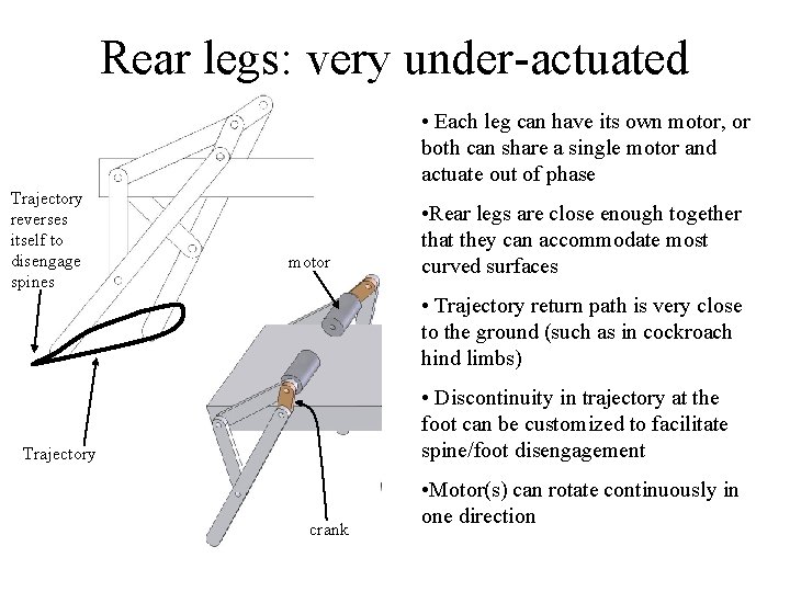 Rear legs: very under-actuated • Each leg can have its own motor, or both