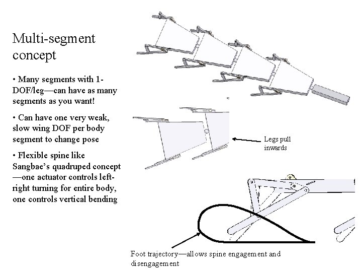 Multi-segment concept • Many segments with 1 DOF/leg—can have as many segments as you