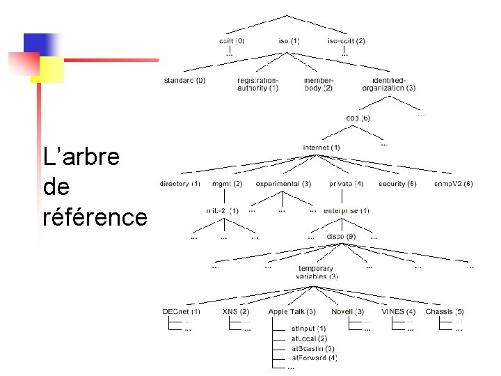 L’arbre de référence 