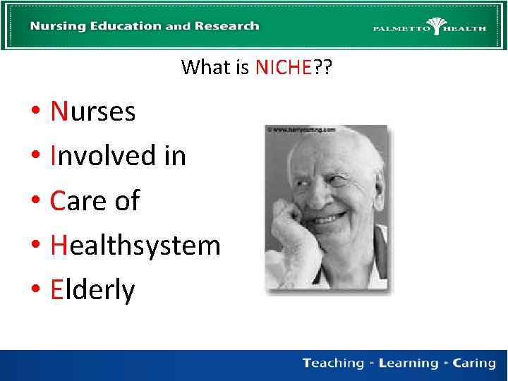 What is NICHE? ? • Nurses • Involved in • Care of • Healthsystem