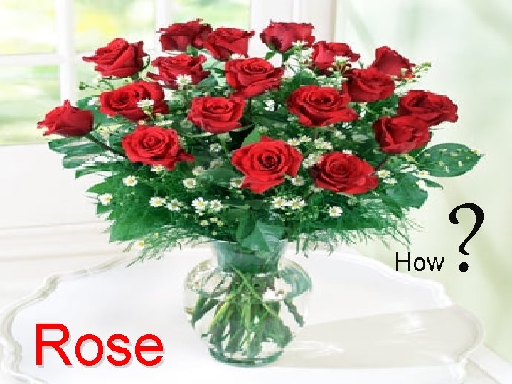 How Rose ? 