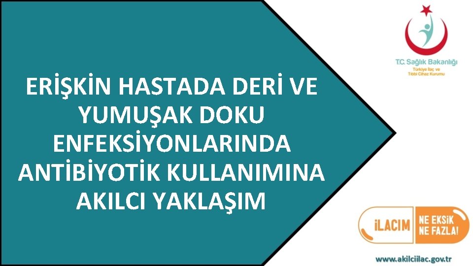 ERİŞKİN HASTADA DERİ VE YUMUŞAK DOKU ENFEKSİYONLARINDA ANTİBİYOTİK KULLANIMINA AKILCI YAKLAŞIM 