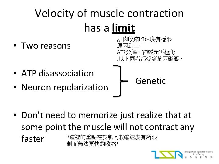 Velocity of muscle contraction has a limit • Two reasons • ATP disassociation •