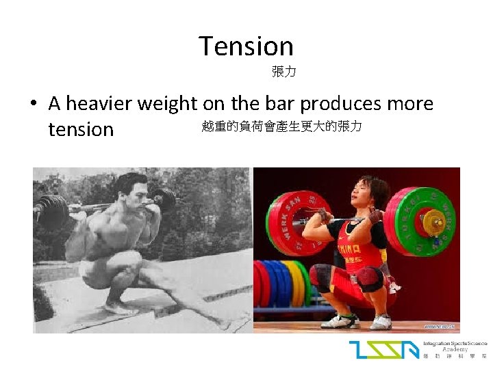 Tension 張力 • A heavier weight on the bar produces more 越重的負荷會產生更大的張力 tension 