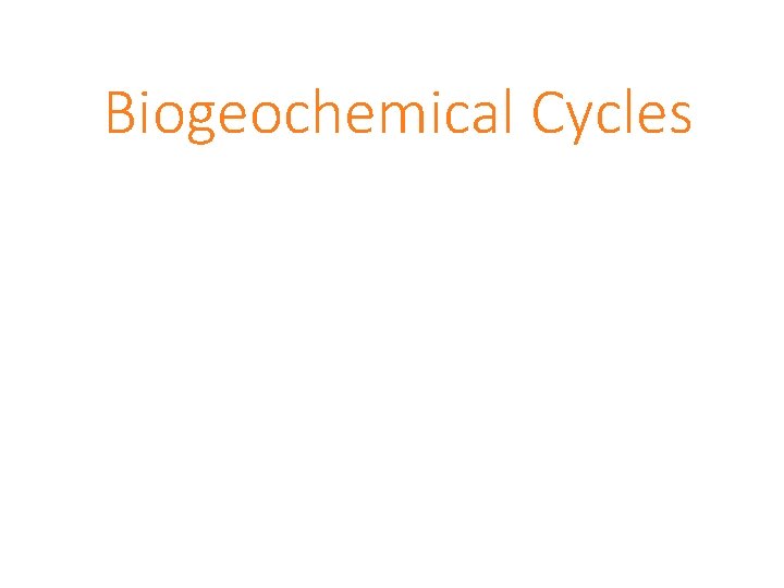 Biogeochemical Cycles 