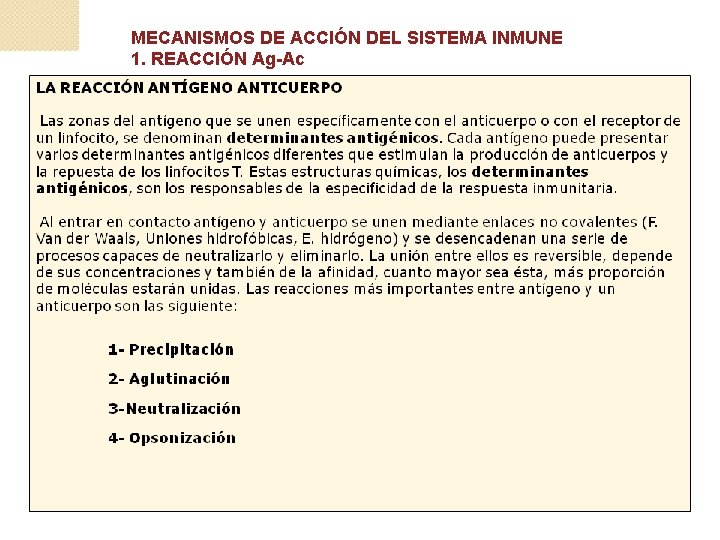 MECANISMOS DE ACCIÓN DEL SISTEMA INMUNE 1. REACCIÓN Ag-Ac 