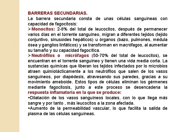 BARRERAS SECUNDARIAS. La barrera secundaria consta de unas células sanguíneas con capacidad de fagocitosis: