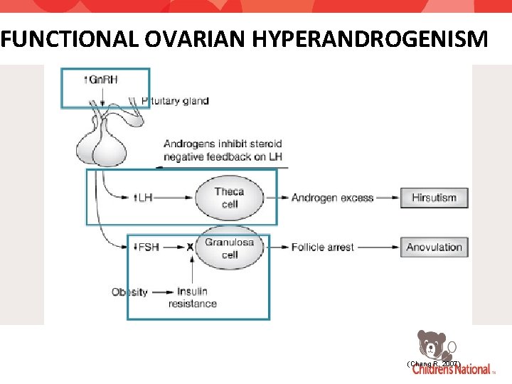 FUNCTIONAL OVARIAN HYPERANDROGENISM (Chang R, 2007) 
