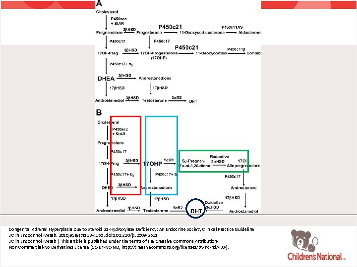 Congenital Adrenal Hyperplasia Due to Steroid 21 -Hydroxylase Deficiency: An Endocrine Society Clinical Practice