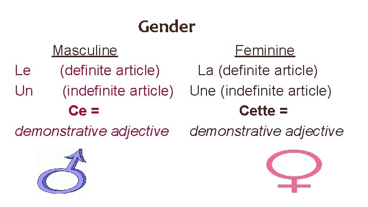 Gender Masculine Le (definite article) Un (indefinite article) Ce = demonstrative adjective Feminine La