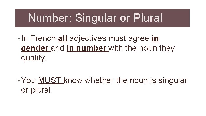 Number: Singular or Plural • In French all adjectives must agree in gender and