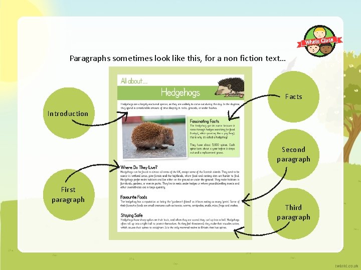 Paragraphs sometimes look like this, for a non fiction text… Facts Introduction Second paragraph Paragraphs sometimes look like this, for a non fiction text… Facts Introduction Second paragraph