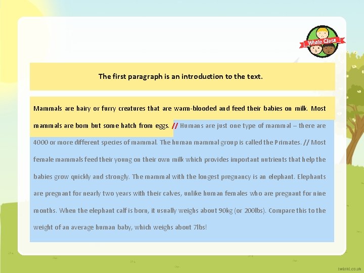 The first paragraph is an introduction to the text. Mammals are hairy or furry The first paragraph is an introduction to the text. Mammals are hairy or furry