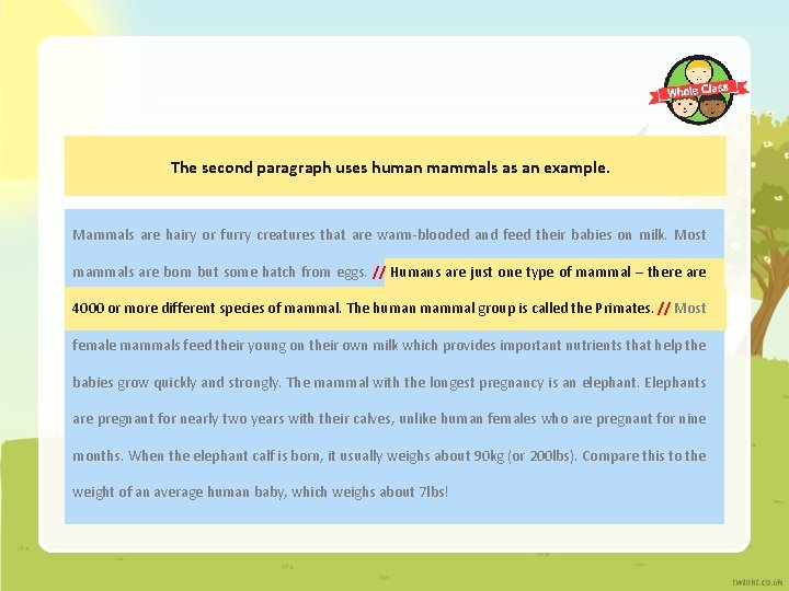 The second paragraph uses human mammals as an example. Mammals are hairy or furry The second paragraph uses human mammals as an example. Mammals are hairy or furry