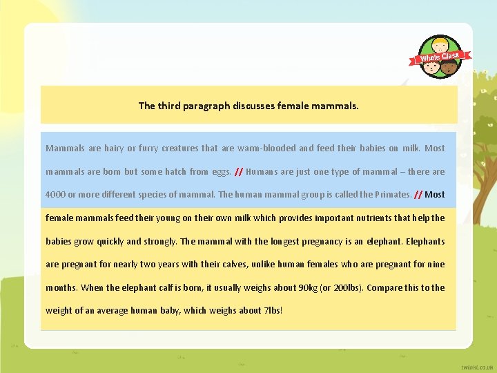 The third paragraph discusses female mammals. Mammals are hairy or furry creatures that are The third paragraph discusses female mammals. Mammals are hairy or furry creatures that are