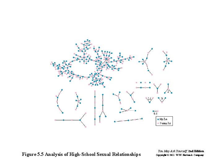 Figure 5. 5 Analysis of High-School Sexual Relationships You May Ask Yourself, 2 nd