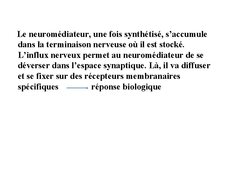 Le neuromédiateur, une fois synthétisé, s’accumule dans la terminaison nerveuse où il est stocké.