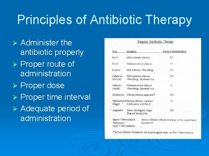 Principles of Antibiotic Therapy Administer the antibiotic properly Ø Proper route of administration Ø