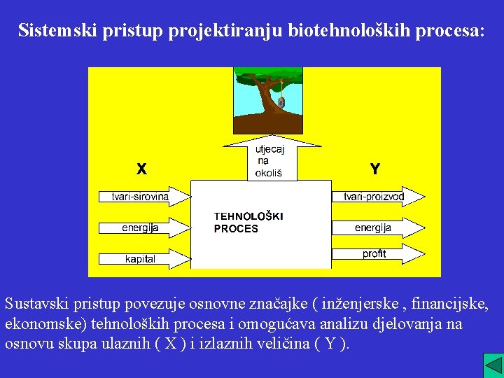 Sistemski pristup projektiranju biotehnoloških procesa: Sustavski pristup povezuje osnovne značajke ( inženjerske , financijske,