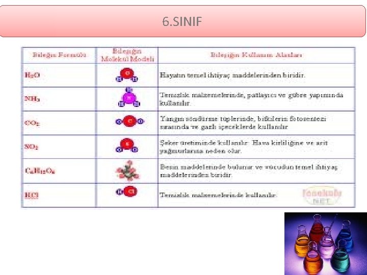 6. SINIF 