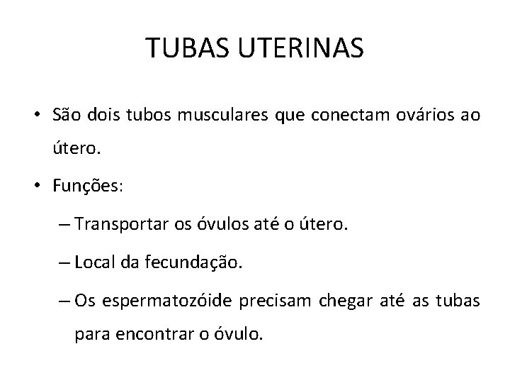 TUBAS UTERINAS • São dois tubos musculares que conectam ovários ao útero. • Funções: