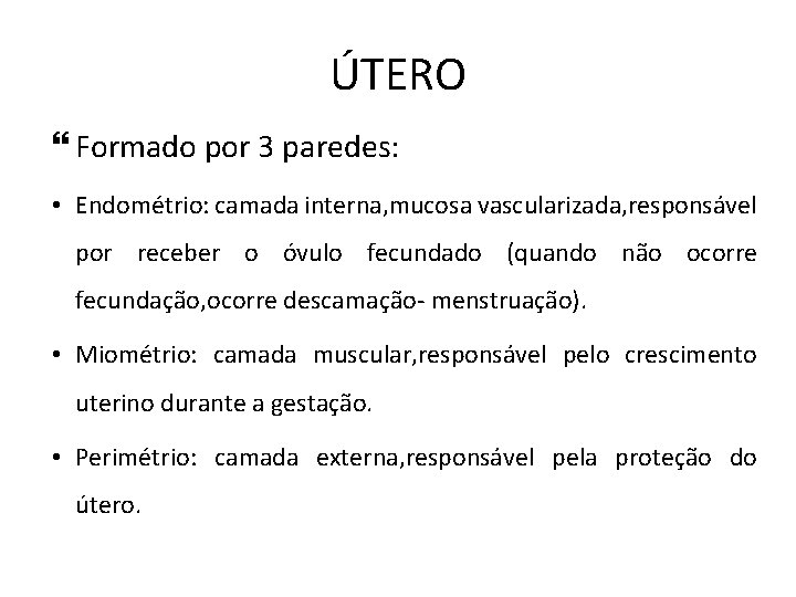 ÚTERO Formado por 3 paredes: • Endométrio: camada interna, mucosa vascularizada, responsável por receber