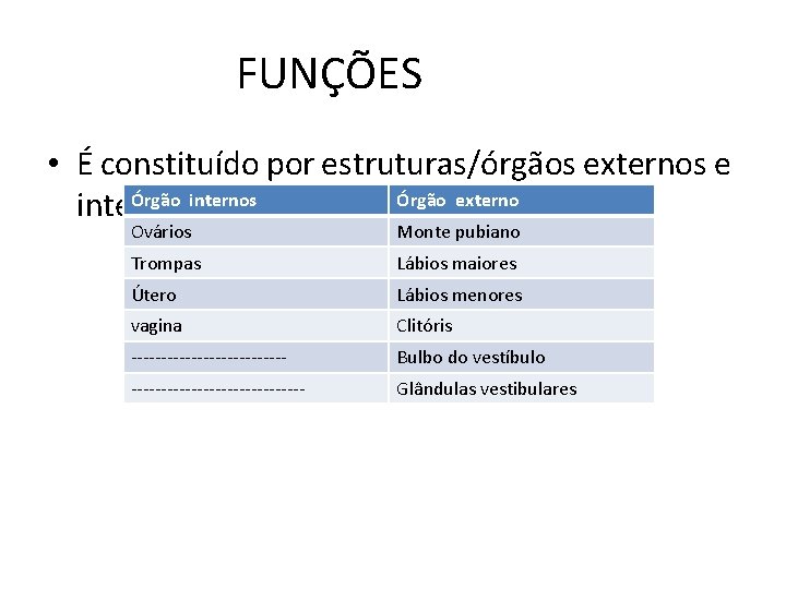 FUNÇÕES • É constituído por estruturas/órgãos externos e Órgão internos Órgão externo internos. Ovários