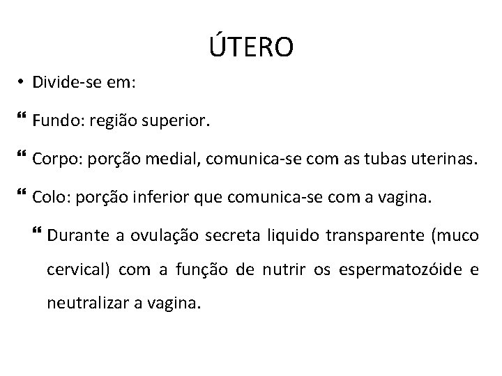 ÚTERO • Divide-se em: Fundo: região superior. Corpo: porção medial, comunica-se com as tubas