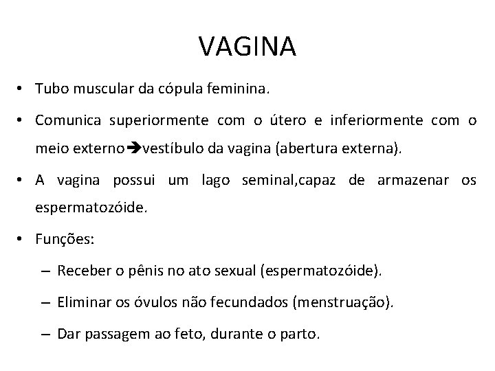 VAGINA • Tubo muscular da cópula feminina. • Comunica superiormente com o útero e