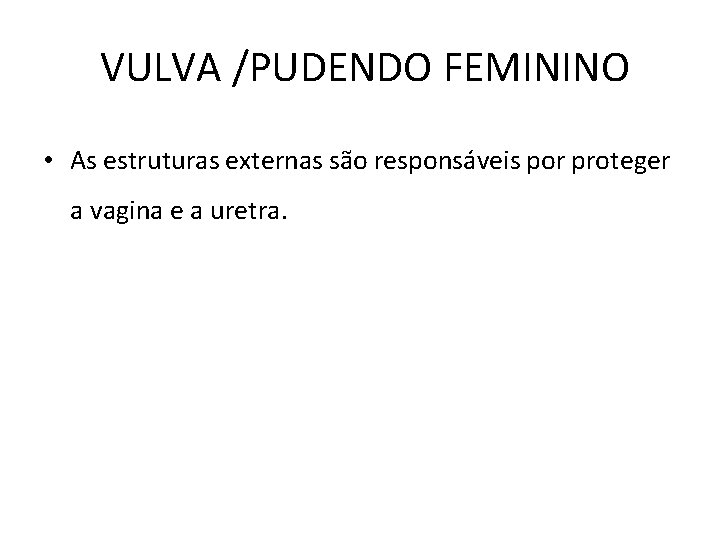VULVA /PUDENDO FEMININO • As estruturas externas são responsáveis por proteger a vagina e