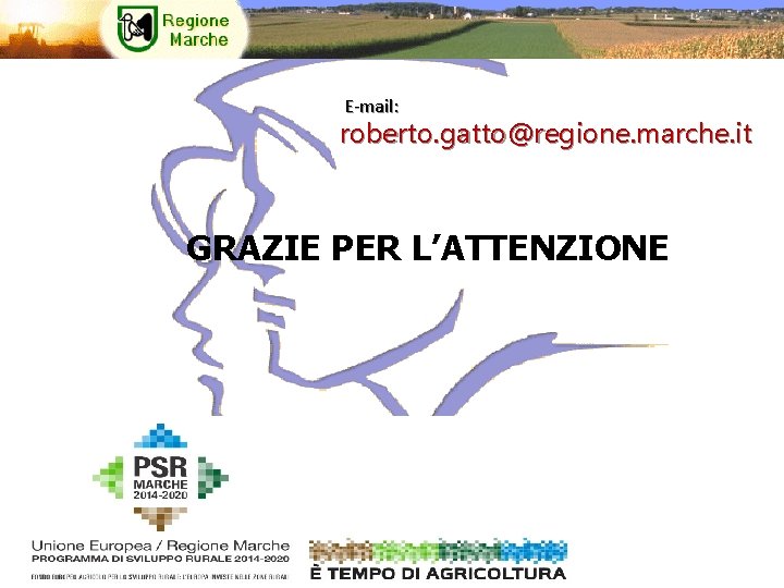 E-mail: roberto. gatto@regione. marche. it GRAZIE PER L’ATTENZIONE 