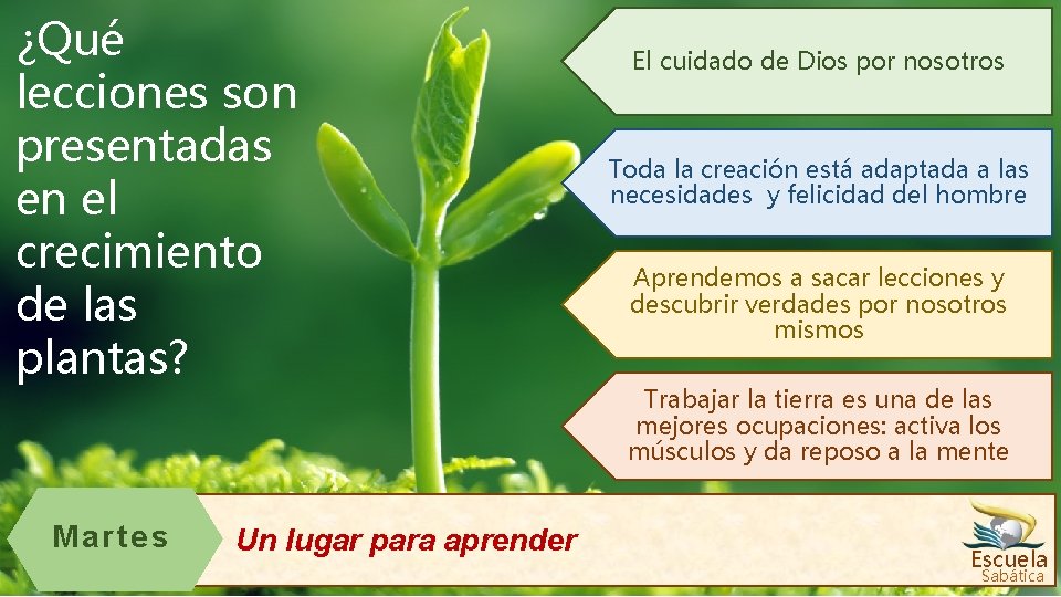 ¿Qué lecciones son presentadas en el crecimiento de las plantas? Martes Un lugar para