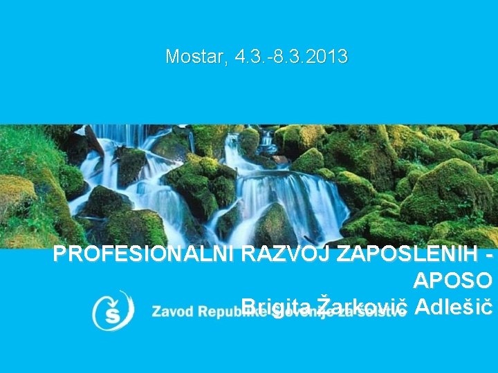 Mostar, 4. 3. -8. 3. 2013 PROFESIONALNI RAZVOJ ZAPOSLENIH APOSO Brigita Žarkovič Adlešič 