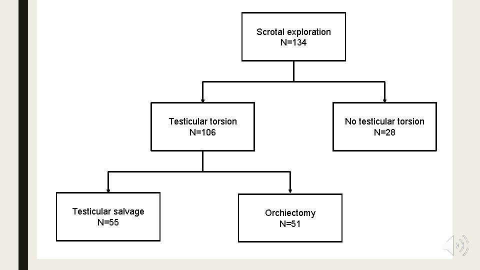 Scrotal exploration N=134 No testicular torsion N=28 Testicular torsion N=106 Testicular salvage N=55 Orchiectomy