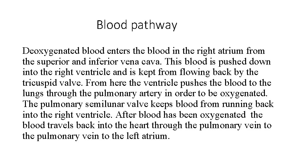 Blood pathway Deoxygenated blood enters the blood in the right atrium from the superior