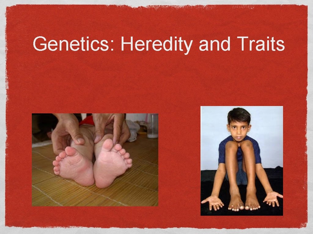 Genetics: Heredity and Traits Genetics: Heredity and Traits