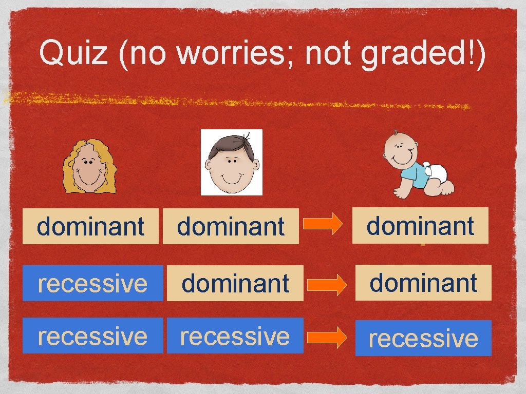 Quiz (no worries; not graded!) dominant ? recessive dominant ? recessive ? 