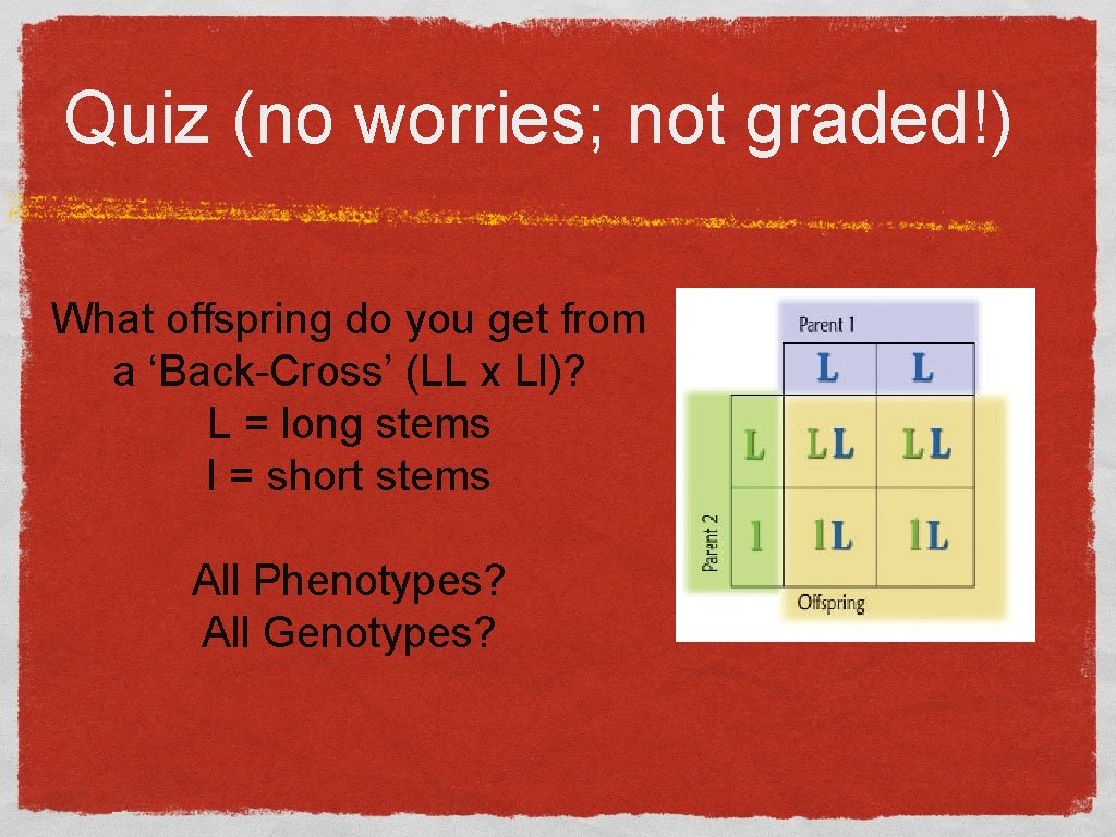 Quiz (no worries; not graded!) What offspring do you get from a ‘Back-Cross’ (LL Quiz (no worries; not graded!) What offspring do you get from a ‘Back-Cross’ (LL