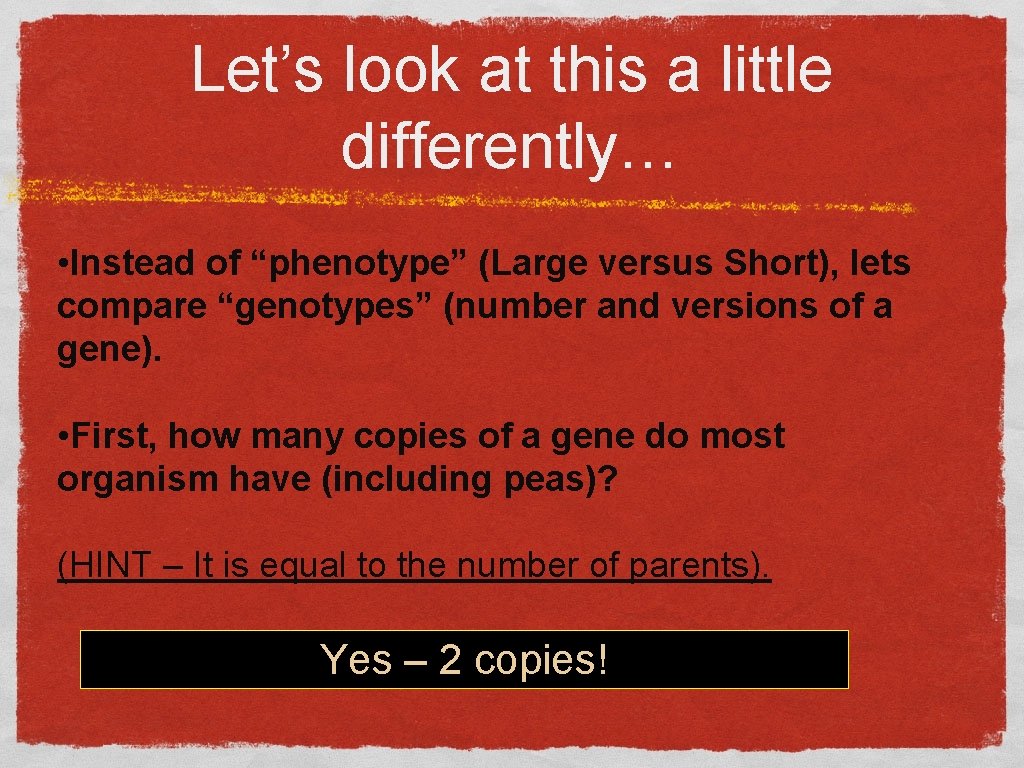 Let’s look at this a little differently… • Instead of “phenotype” (Large versus Short),