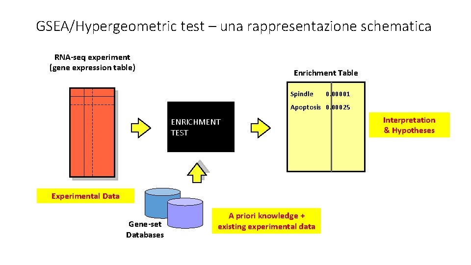 GSEA/Hypergeometric test – una rappresentazione schematica RNA-seq experiment (gene expression table) Enrichment Table Spindle