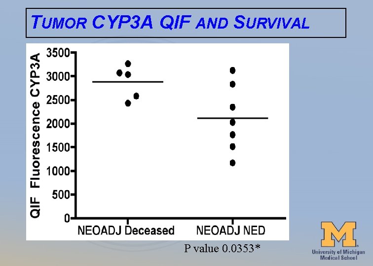 TUMOR CYP 3 A QIF AND SURVIVAL P value 0. 0353* 