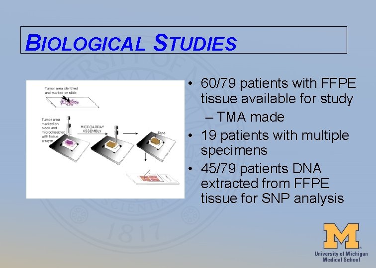 BIOLOGICAL STUDIES • 60/79 patients with FFPE tissue available for study – TMA made