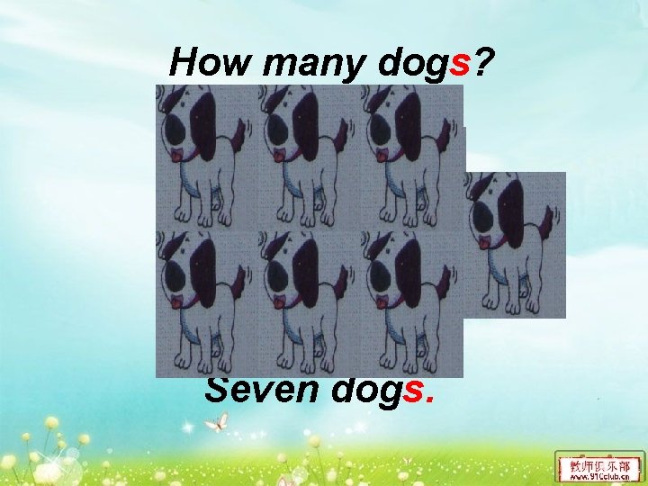 How many dogs? Seven dogs. 