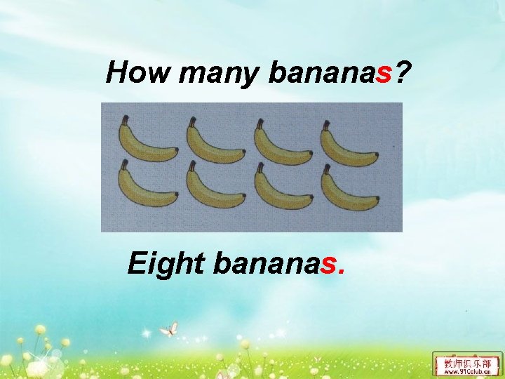 How many bananas? Eight bananas. 