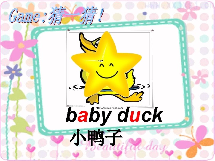 baby duck 小鸭子 