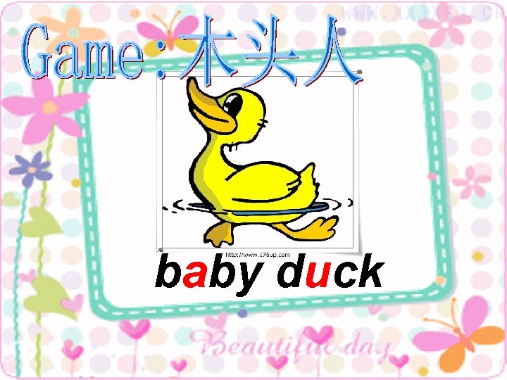 baby duck 